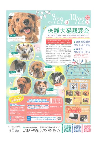 保護犬猫譲渡会（2019.09.29、10.22）